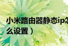 小米路由器静态ip怎么设置（路由器静态ip怎么设置）