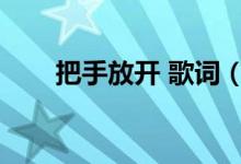 把手放开 歌词（把手放开不问一句）