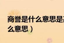 商誉是什么意思是高好还是低好?（商誉是什么意思）