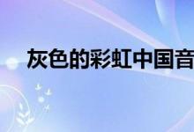 灰色的彩虹中国音乐电视（灰色的彩虹）