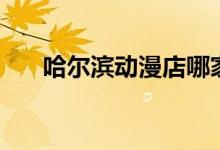 哈尔滨动漫店哪家好（哈尔滨动漫店）