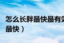 怎么长胖最快最有效最简单蛋白粉（怎么长胖最快）