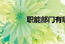 职能部门有哪些（职能部门）