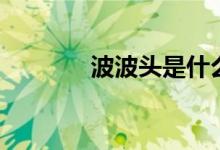波波头是什么（波波头是谁）