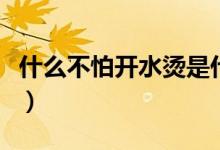 什么不怕开水烫是什么意思（什么不怕开水烫）