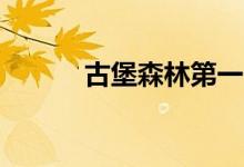 古堡森林第一个35（古堡森林）