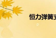 恒力弹簧支吊架（恒力）