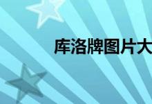 库洛牌图片大全（库洛牌图片）