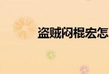 盗贼闷棍宏怎么用（dz闷棍宏）