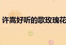 许嵩好听的歌玫瑰花的葬礼（许嵩好听的歌）