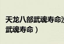 天龙八部武魂寿命没了还有效果么（天龙八部武魂寿命）