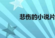 悲伤的小说片段（悲伤的小说）