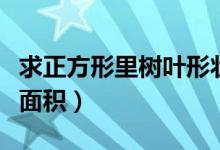 求正方形里树叶形状面积（正方形中叶子阴影面积）