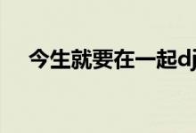 今生就要在一起dj版（今生就要在一起）