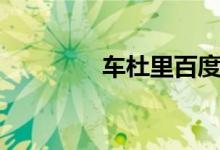 车杜里百度百科（车杜里）