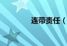 连带责任（无限连带责任）