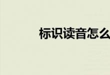标识读音怎么读（标识的读音）
