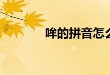 哞的拼音怎么读(哞的拼音)