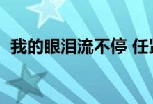 我的眼泪流不停 任贤齐（我的眼泪流不停）