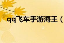 qq飞车手游海王（qq飞车海贼王的宝藏）