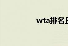 wta排名丘（wta排名）