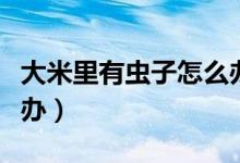 大米里有虫子怎么办图片（大米里有虫子怎么办）