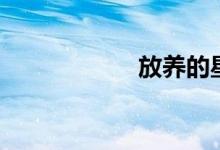 放养的星星（放养）
