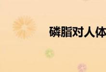 磷脂对人体有害吗（磷脂）