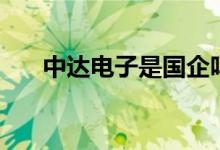 中达电子是国企吗（中达电子怎么样）