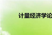 计量经济学论文（计量经济学）