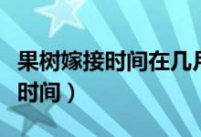 果树嫁接时间在几月份芽接怎么接（果树嫁接时间）
