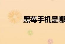 黑莓手机是哪国的（黑霉手机）