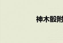 神木骰附件（神木骰）