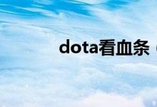 dota看血条（dota显血工具）