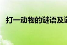 打一动物的谜语及谜底（打一动物的谜语）