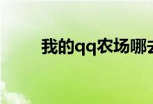 我的qq农场哪去了（我的qq农场）