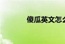 傻瓜英文怎么说（傻瓜英文）
