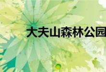 大夫山森林公园开放时间（大夫山）