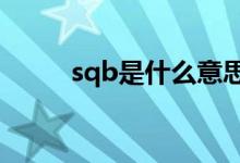 sqb是什么意思（qb是什么意思）