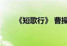《短歌行》 曹操（曹操短歌行杀人）