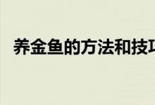 养金鱼的方法和技巧视频（养金鱼的方法）