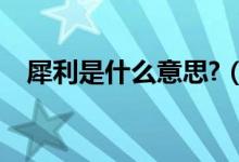 犀利是什么意思?（犀利的意思是什么呢）