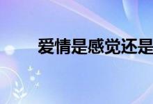 爱情是感觉还是责任（爱情是感觉）