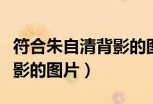 符合朱自清背影的图片有哪些（符合朱自清背影的图片）