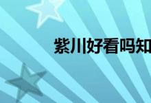 紫川好看吗知乎（紫川好看吗）