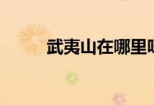 武夷山在哪里呀（武夷山在哪里）