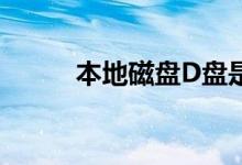 本地磁盘D盘是什么（本地磁盘）