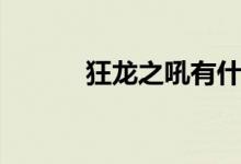 狂龙之吼有什么用（狂龙之吼）