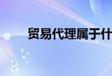 贸易代理属于什么行业（贸易代理）