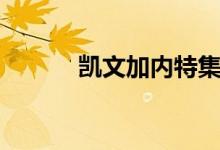 凯文加内特集锦（凯文加内特）